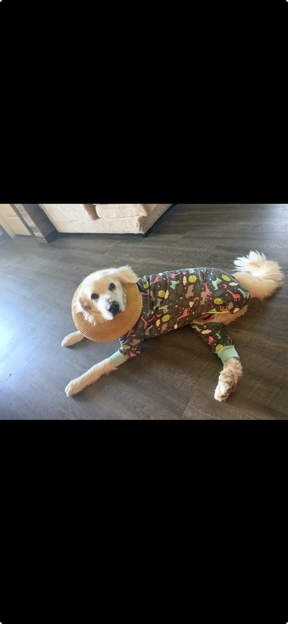 Kodiak
